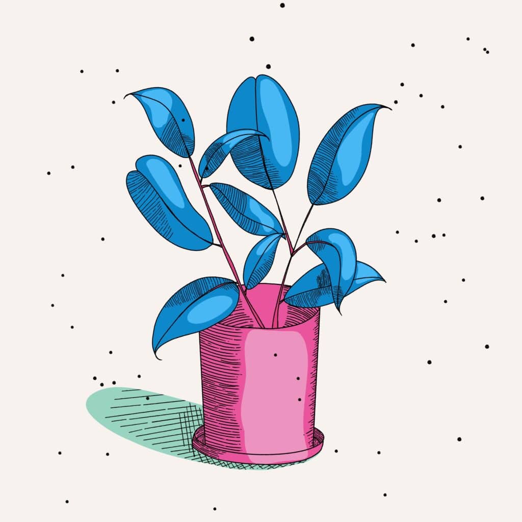 Illustration of a plant